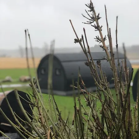 Hodde Zajazd